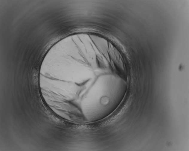 X0000094380945200711242019