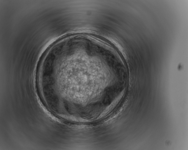 X0000094380949200711242019