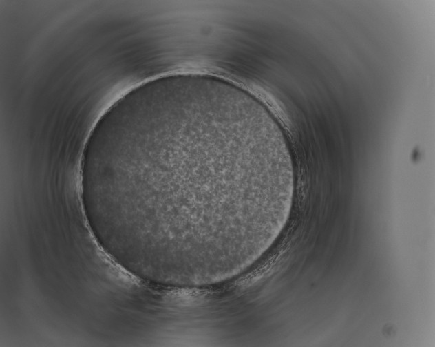 X0000094380950200711242019