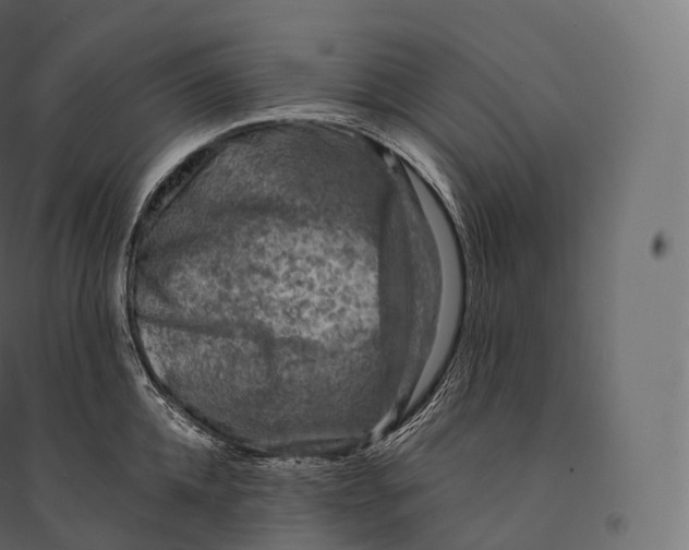 X0000094380952200711242019