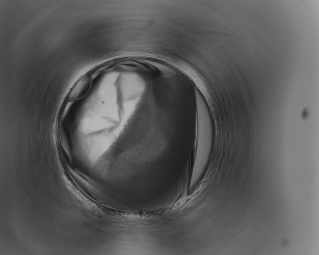 X0000094380958200711242019