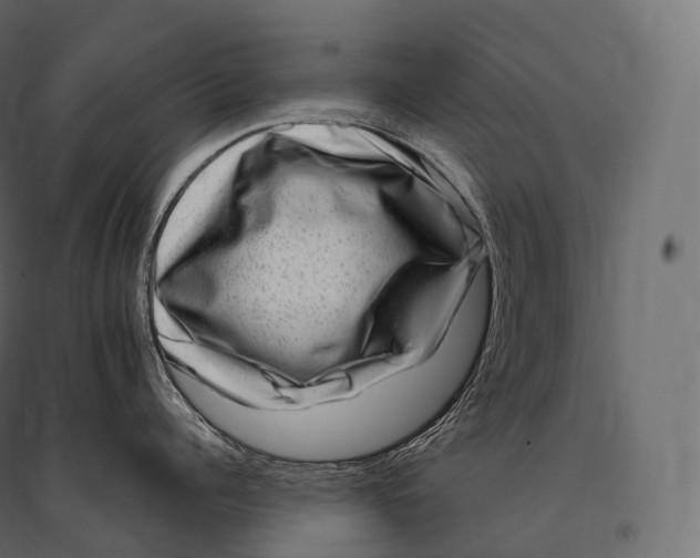 X0000094380960200711242019