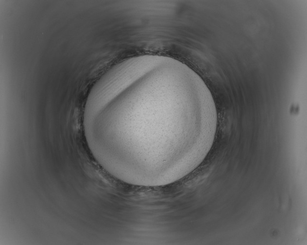 X0000094380962200711242019