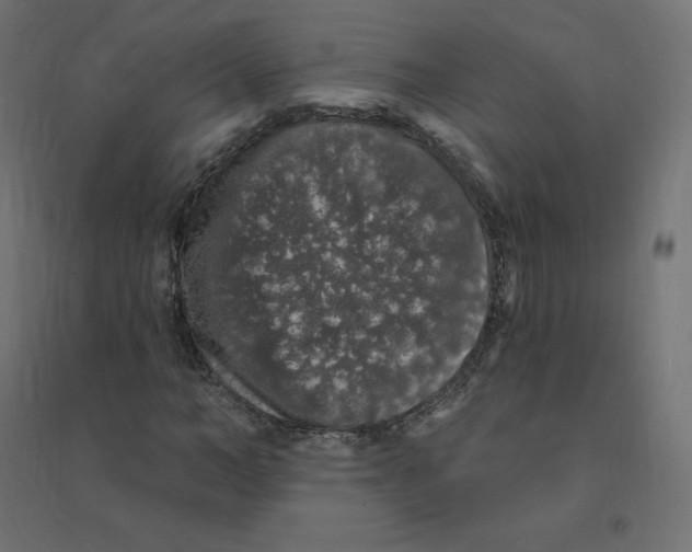 X0000094380966200711242018