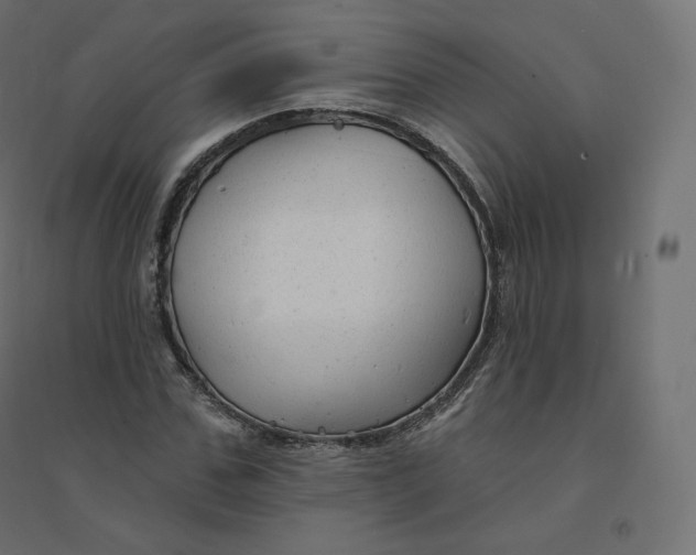 X0000094380971200711242018