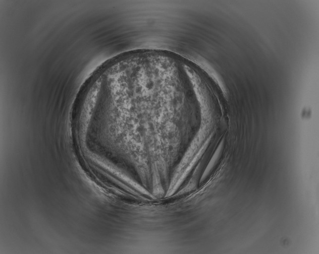 X0000094380972200711242018