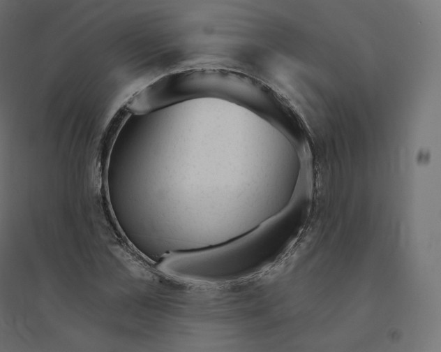 X0000094380973200711242018
