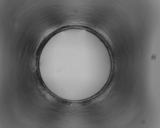 X0000094380974200711242018