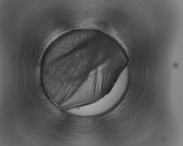X0000094380975200711242018
