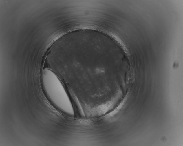 X0000094380977200711242018