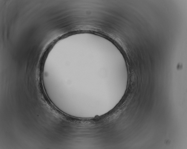 X0000094380979200711242018