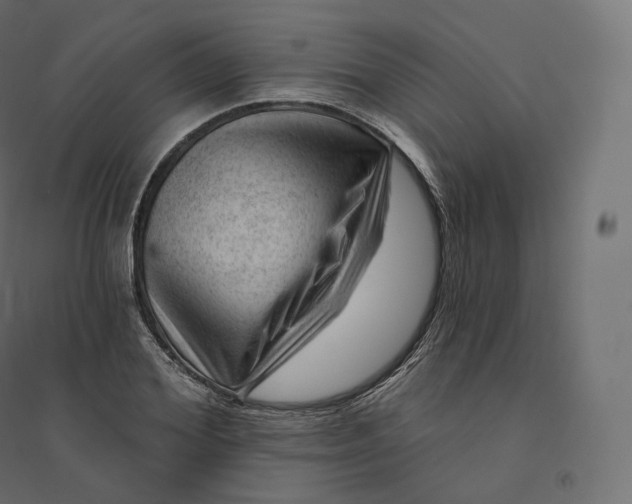 X0000094380980200711242018