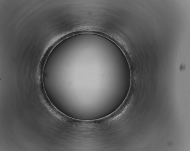 X0000094380981200711242018