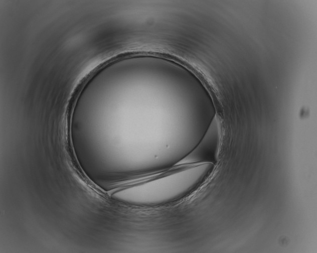 X0000094380982200711242018