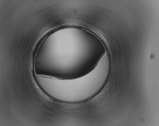 X0000094380984200711242018