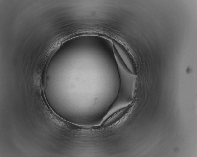 X0000094380985200711242018