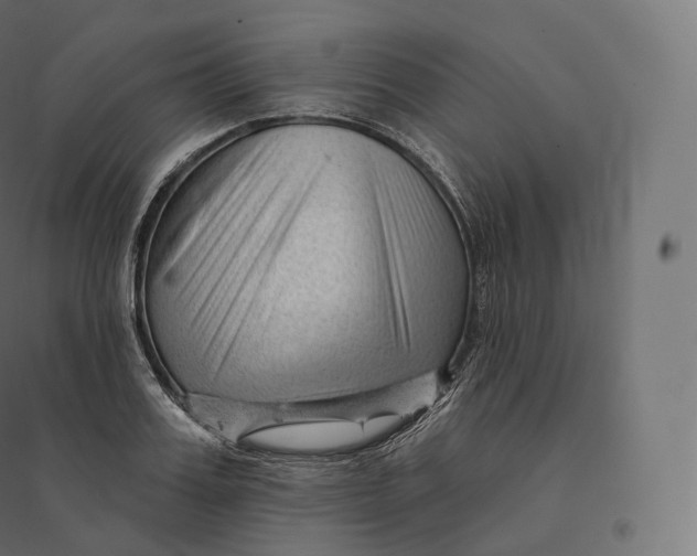 X0000094380987200711242018