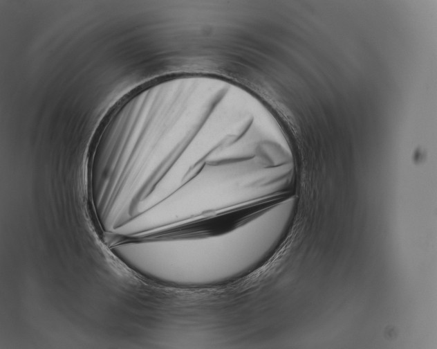 X0000094380988200711242018