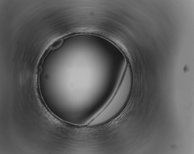 X0000094380992200711242018