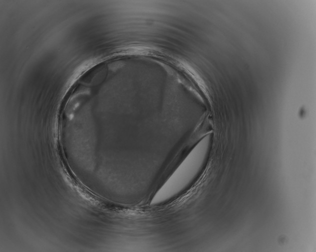 X0000094380994200711242018
