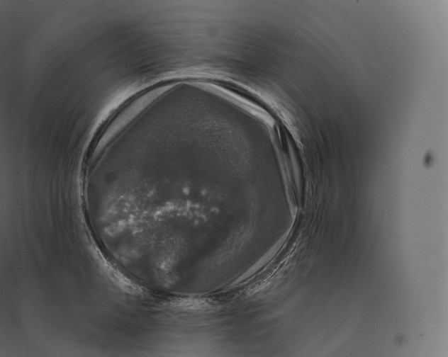 X0000094380998200711242018
