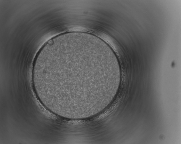 X0000094381000200711242018