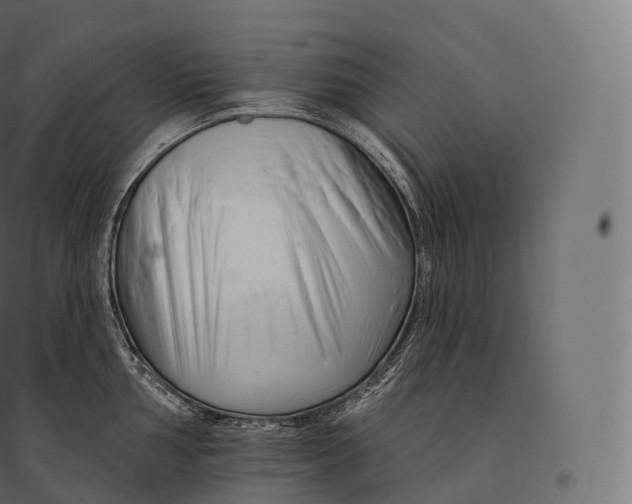 X0000094381002200711242018