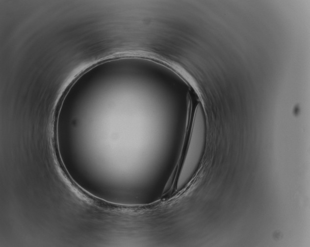 X0000094381005200711242018