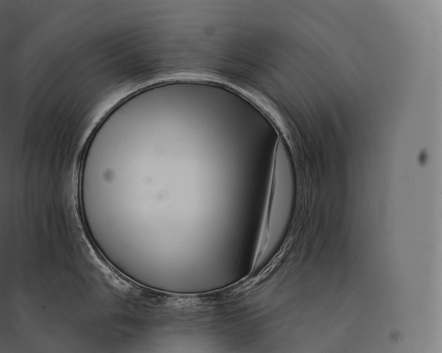 X0000094381006200711242018