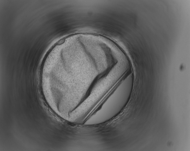 X0000094381008200711242018