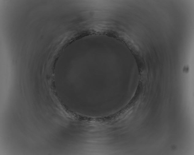 X0000094381009200711242017