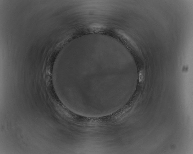 X0000094381011200711242017