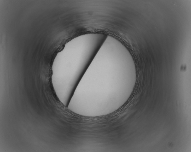 X0000094381012200711242017