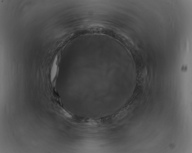 X0000094381013200711242017