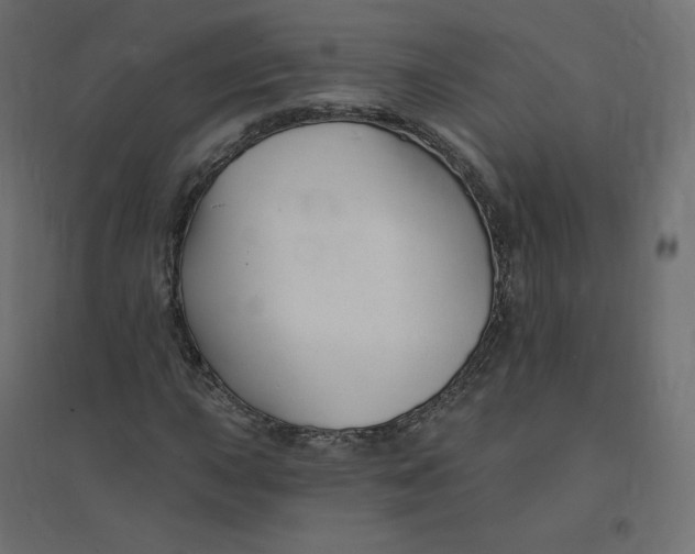 X0000094381015200711242017