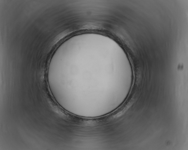 X0000094381017200711242017