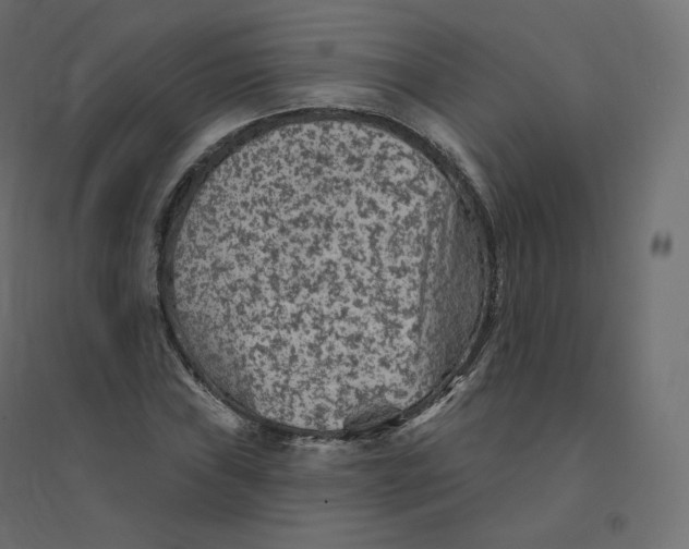 X0000094381019200711242017