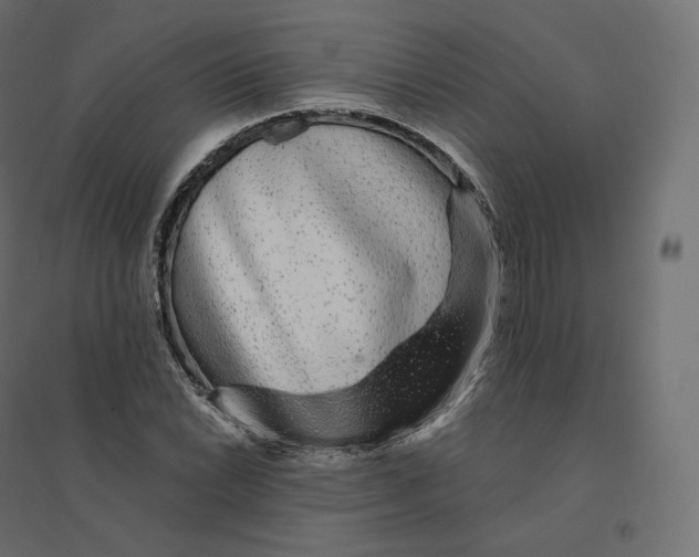 X0000094381022200711242017