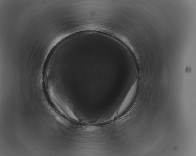 X0000094381024200711242017