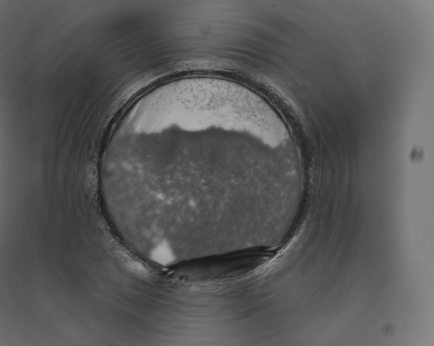 X0000094381025200711242017