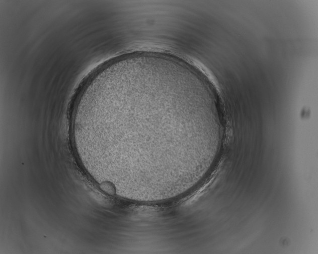 X0000094381027200711242017
