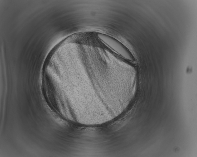 X0000094381028200711242017