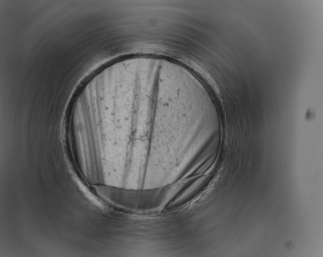 X0000094381037200711242017