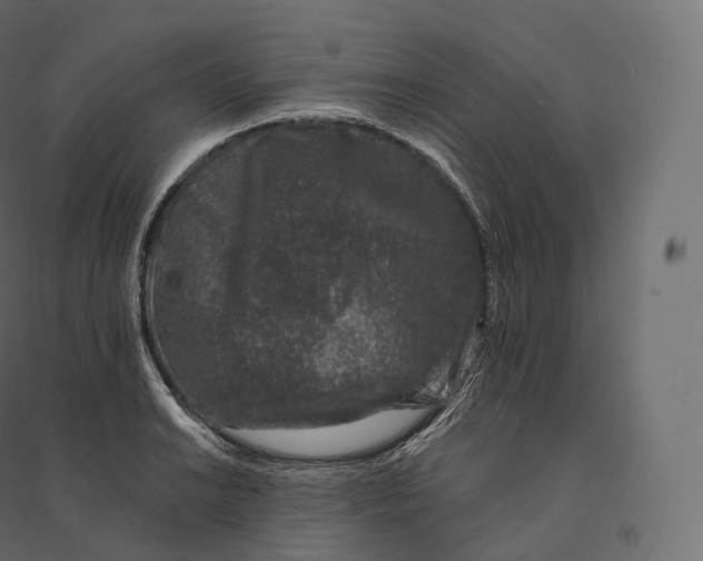 X0000094381038200711242017