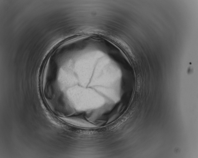 X0000094381039200711242017