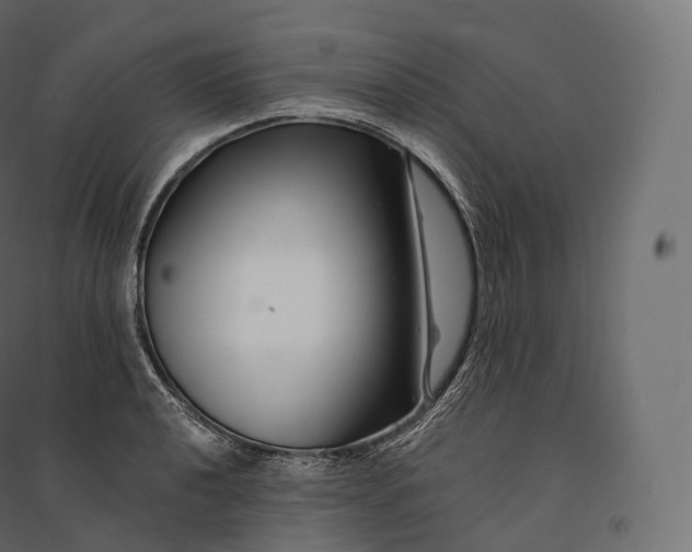 X0000094381040200711242017