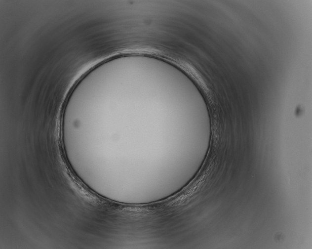 X0000094381044200711242018