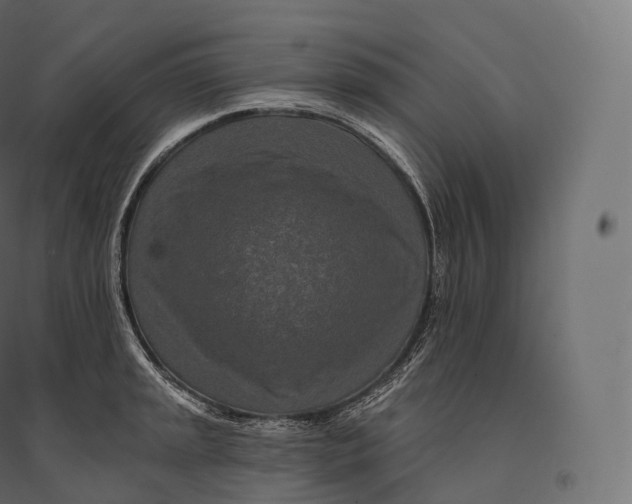 X0000094381045200711242018