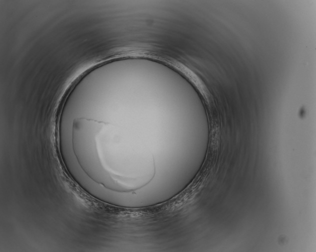 X0000094381051200711242018