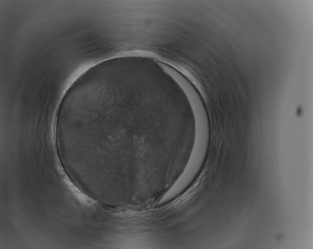 X0000094381054200711242018